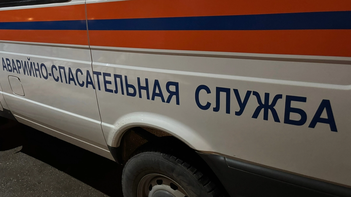 В Кемеровской области спасатели вызволили собаку из старого морозильника