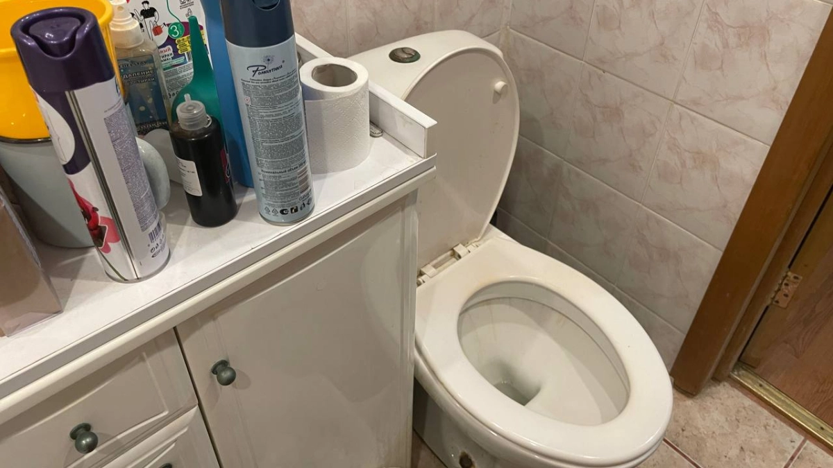 Туалет пахнет как элитный отель: добавляю пару капель в подставку ёршика — и никакого «аромата общаги» 