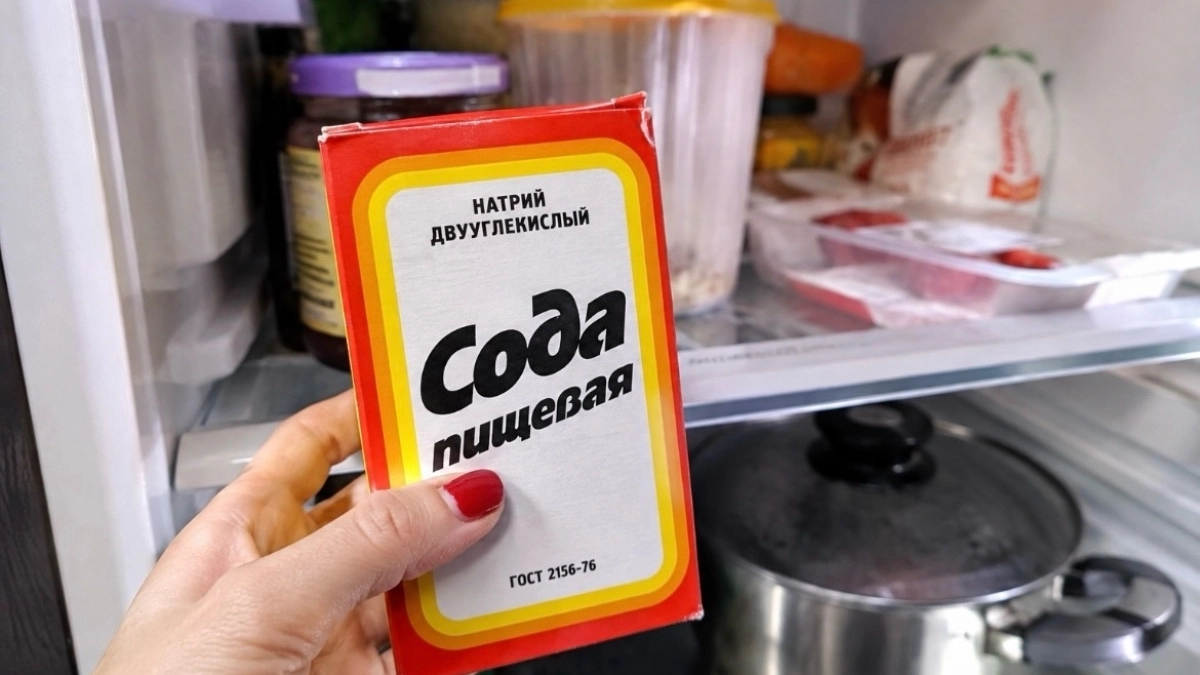 Каждое лето пачками скупаю соду и складываю ее в холодильник: работает старый добрый трюк из СССР
