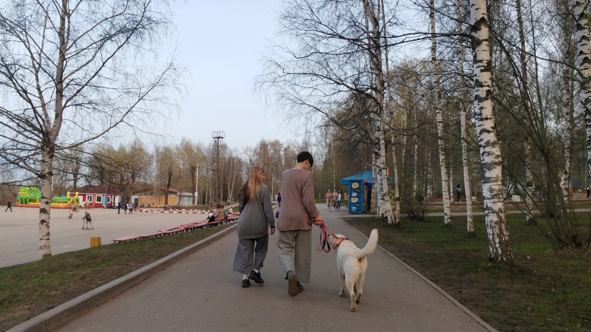 Психология людей, которые не жалуют гостей у себя дома 