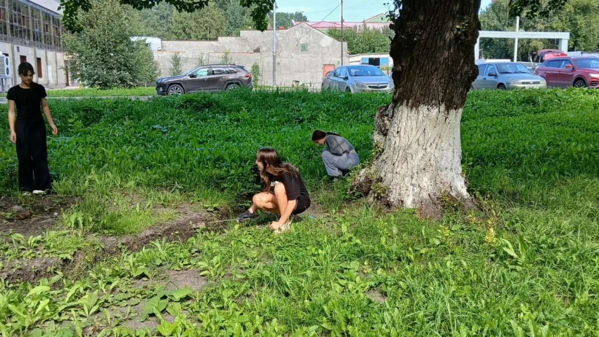 Школьники Киселевска облагородили территорию МФЦ 