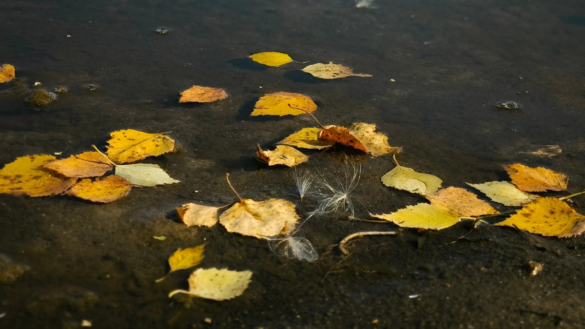 В Кемеровской области назвали способ победить осеннюю хандру без лекарств