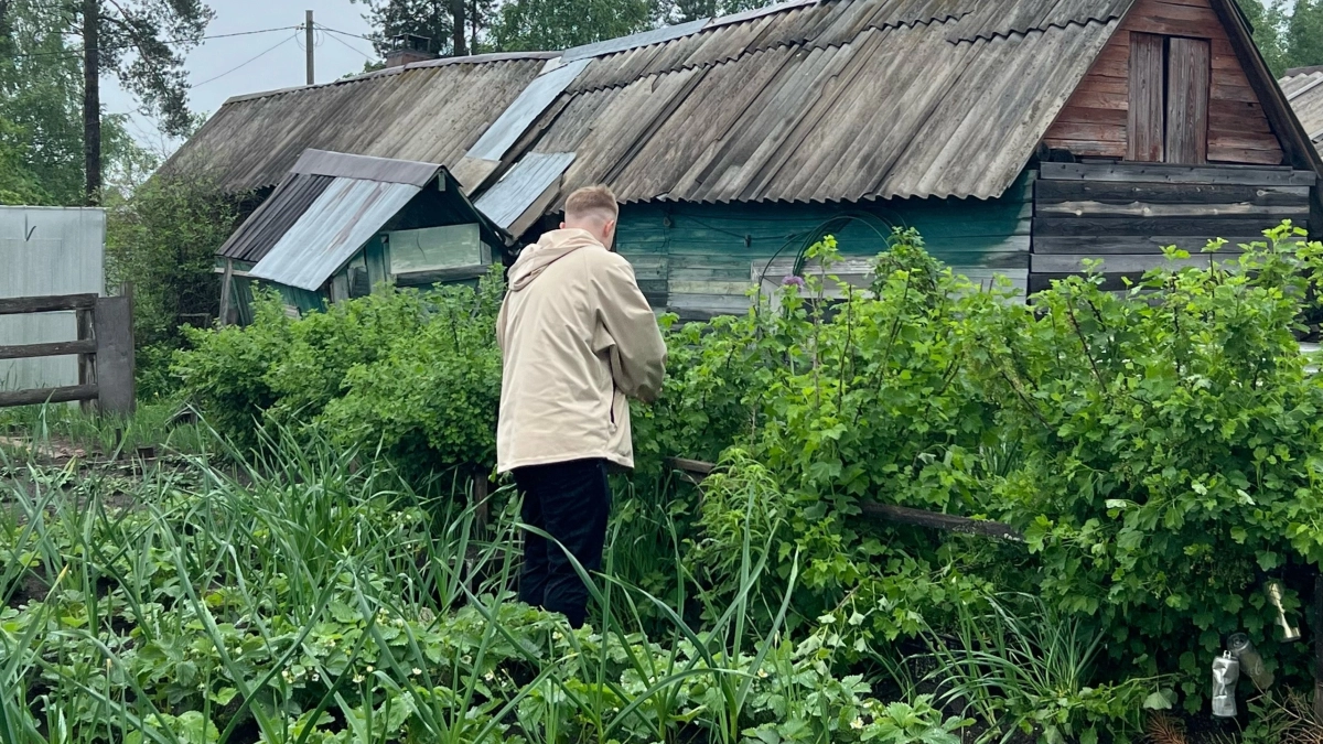 Старый агроном научил, как очищать землю осенью от фитофторы: дел на полчаса, а результат сохраняется надолго
