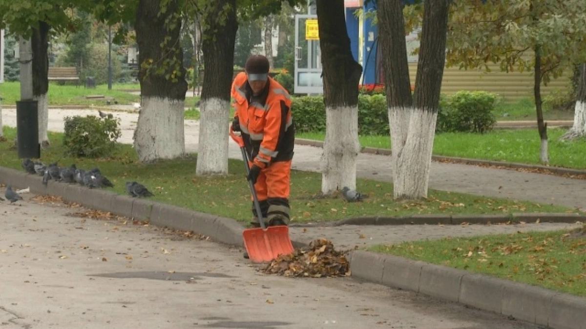 В Киселевске дорожники готовятся к зиме: улицы очищают от опавшей листвы