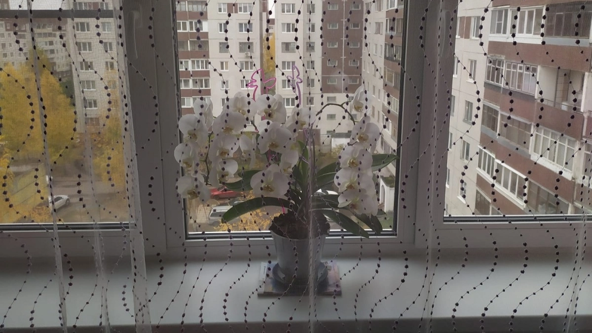 Как почистить окна без разводов: пошаговая инструкция – и 3 средства, которые ушатают пластик
