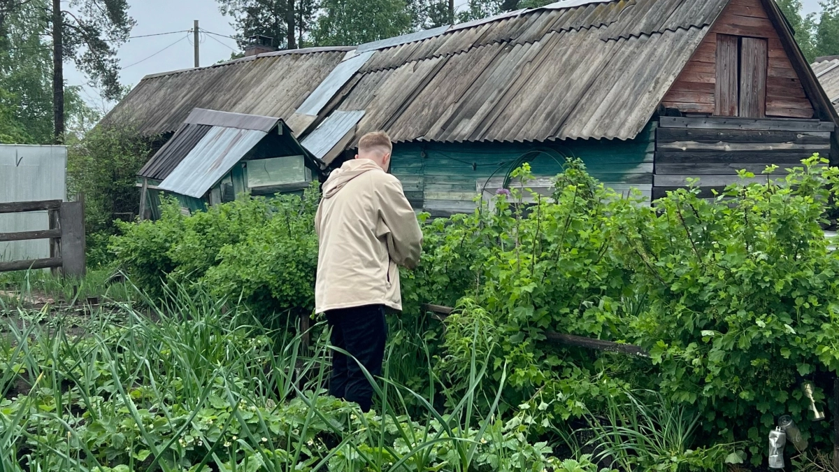 Посеял в октябре — весной собираю раннюю зелень и овощи: 5 холодостойких культур для подзимних грядок