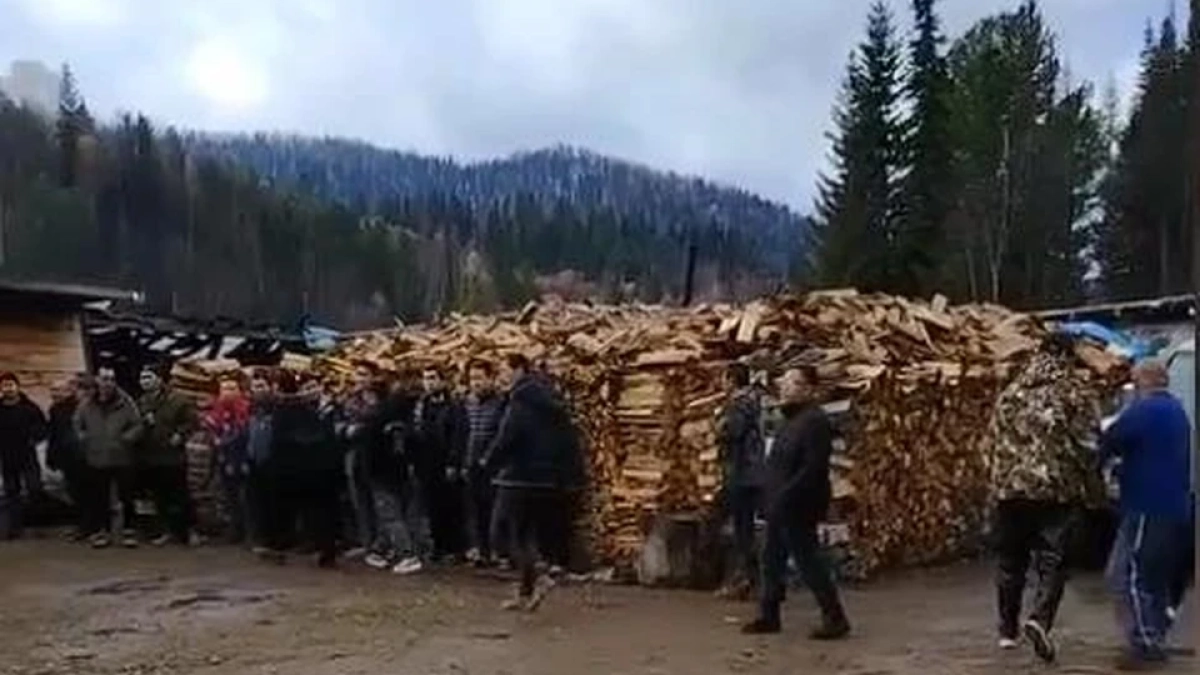 41 нелегального рабочего нашли на золотодобывающем предприятии в Кемеровской области