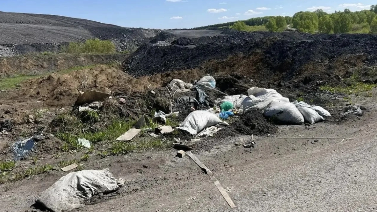 «Стоит зловонный запах»: почему в Киселевске свалки возвращаются, а контейнеры переполняются